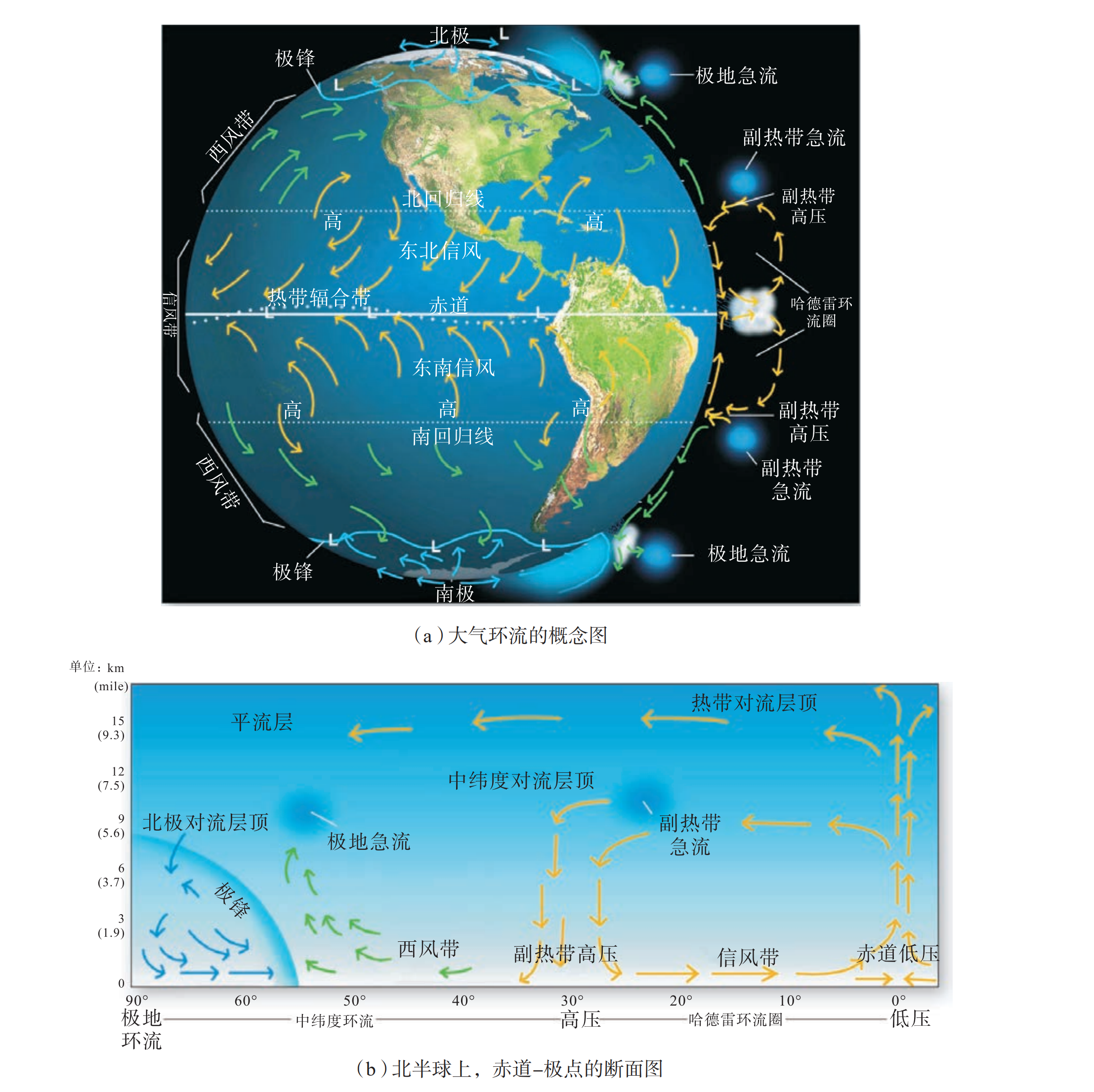 General Circulation Models