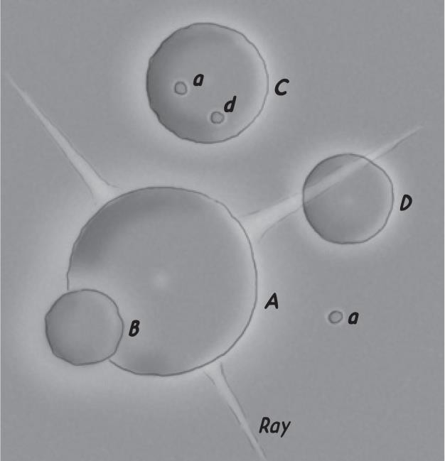 fig_Q1